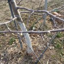 재식농장 이미지