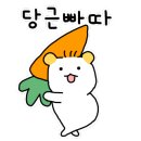 동해카써비스