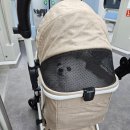 바이유어펫(주) | 메가주 일산 킨텍스 케이 펫페어 일정 2025 하반기