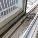 배곧유호N-CITY1차(배곧유호엔시티1차) 이미지