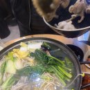 들마루맛집 | [들마루] 은평구 맛집 이모카세 쭈꾸미 샤브샤브 후기