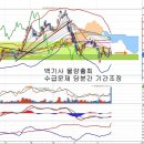 POSCO(005490) - 현대미포조선 보유주식 블록딜 이미지