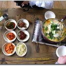 모리야채 이미지