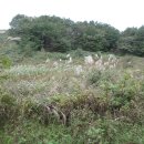 영일만온천 이미지