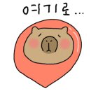 우정이발관 이미지