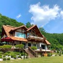 울진 숲속에 산장 펜션 | 안성 연지동 안성 산장느낌펜션 자연 속 힐링 가득한 펜션 내돈내산 후기!