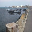 고내농장 이미지