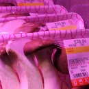 동창식육식당