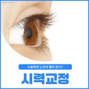 익산푸른안과의원 | 익산 시력교정, 수술하면 노안이 빨리 온다? 진짜인지 확인해 보니