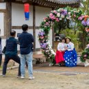 2025 삼강주막나루터축제 이미지