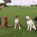 똑독트레이닝스쿨 이미지