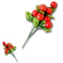 뮤플라워 이미지