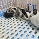 매산리 538 이미지