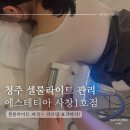청주 | 셀룰라이트 관리에 좋은 에스테티아 사창1호점 후기