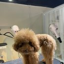 반야시스터 이미지