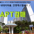 건영캐스빌 티스토리