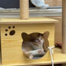 하늘동물병원 이미지