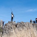 유림-1035 이미지