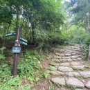 옥녀봉식당 이미지