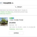 대성글램핑 이미지