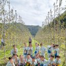 큰방림길 이미지