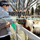 야옹이와 멍멍이 | 광주에서 아기랑 가기 좋은 카페 "헤이블루" (조랑말 먹이주기 체험 가능) 내돈내산 n 번째 방문 후기