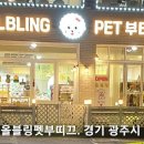 블링펫 이미지