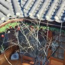 사랑방 티스토리