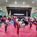 청명태권도체육관 이미지