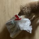 집밥먹개 집밥먹냥 이미지