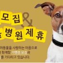 따뜻하개 이미지