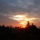 물들어간다는 것은 이미지