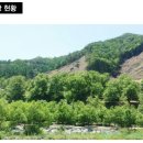 연욱농장 Daum카페