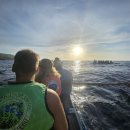 경이의세계 | 🌴 에메랄드빛 폭포와 고래상어의 경이로움, 세부 오슬롭 완벽 여행 후기