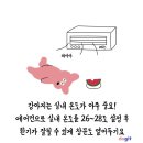 여름철 강아지 관리방법 이미지