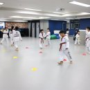 스타일 태권도장 네이버블로그