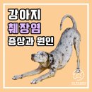 마음든 동물병원 이미지