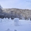 심장박물관 이미지