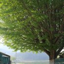 신덕마을회관 이미지