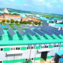 신진태양광발전소 이미지
