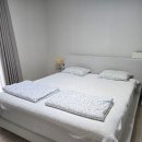 알레르망평택지제점 | 여름이불 추천! 알레르망 냉감이불 내돈내산 후기