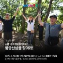 황금성인오락실 이미지