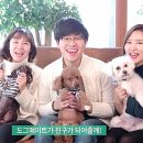 업&도그 이미지