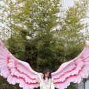 펀지키즈풀빌라1 | 대부도/펀지키즈풀빌라 유니콘룸 1박2일 여행 후기