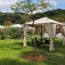 블루미르 이미지