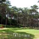 금강수목원 이미지