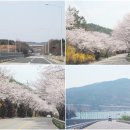 왕지등대마을 이미지