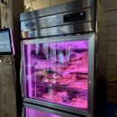 건대참숯벽돌집 | [서울/건대] 김부속 건대점 | 참숯으로 굽는 특수부위 맛집!