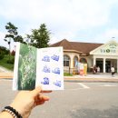 일석이조 전라일보