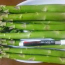 왕궁농장 이미지